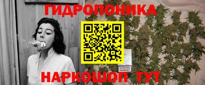 ешки Краснодар
