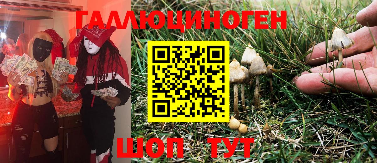 Галлюциногенные грибы Magic Shrooms Екатеринбург